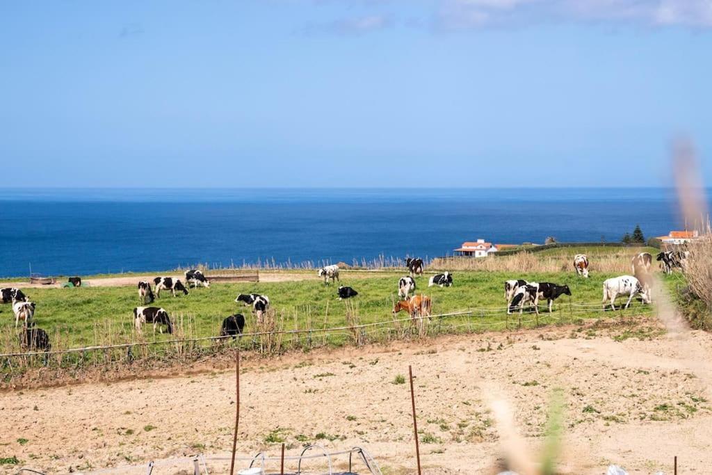 ריביירה גראנדה Country House In Azores - S. Miguel מראה חיצוני תמונה